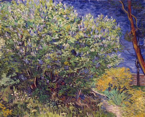 Lilacs by Vincent Van Gogh