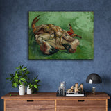 A crab on its back by Vincent Van Gogh