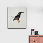Kingfisher by John Ruskin