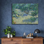 Olive Orchard by Vincent Van Gogh