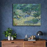 Olive Orchard by Vincent Van Gogh