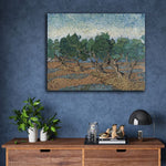 Olive grove by Vincent Van Gogh