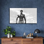 Arnold Schwarzenegger Poster