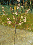 Almond tree in blossom by Vincent Van Gogh
