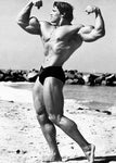 Arnold Schwarzenegger Bodybuilding Motivation Painting