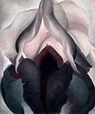 Black Iris by Georgia O'Keeffe