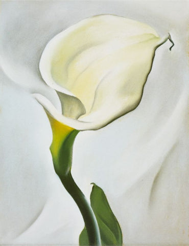 Calla Lily Turned Away by Georgia O'Keeffe