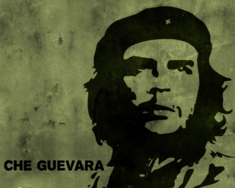 Che Guevara Revolution Poster