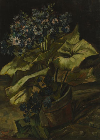 Cineraria by Vincent Van Gogh