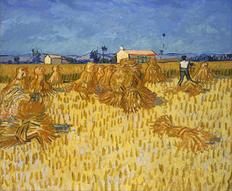 Corn Harvest in Provence by Vincent Van Gogh