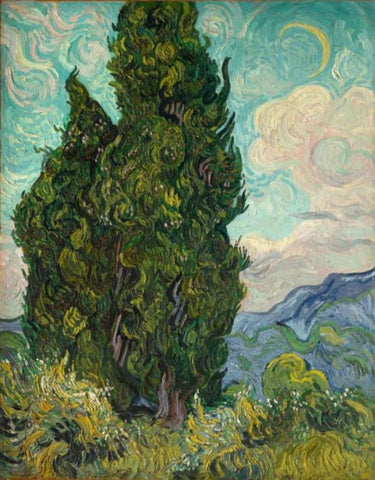 Cypresses by Vincent Van Gogh