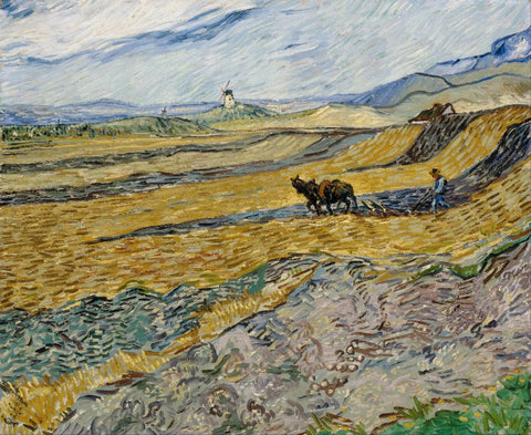 Enclosed field With Ploughman by Vincent Van Gogh