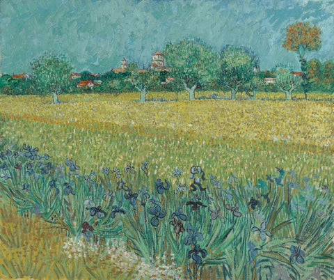 Fields with Irises Near Arles by Vincent Van Gogh