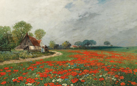 Field of poppies with daisies by Adolf Kaufmann