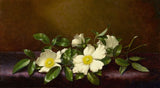 Floral Painting - Cherokee Roses on a Purple Cloth-Martin Johnson Heade