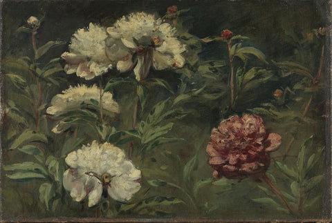 Floral Panting - Eugene Delacroix - White and Red Peonies, Presumably