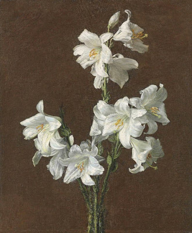 Floral Panting - Henri Fantin-Latour - White Lilies