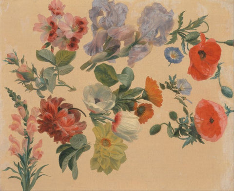 Floral Panting - Jacques-Laurent Agasse - Studies of Summer Flowers