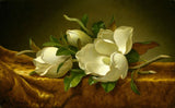 Floral Panting - Martin Johnson Heade - Magnolias on Gold Velvet Cloth