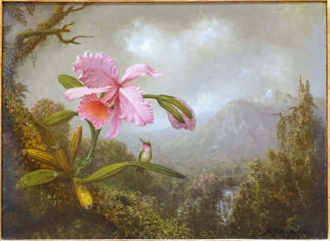 Floral Painting - Orchid and Hummingbird near a Mountain Waterfall by Martin Johnson Heade