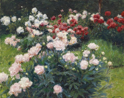 Floral Painting - Wilhelm Bernatzik Peonies