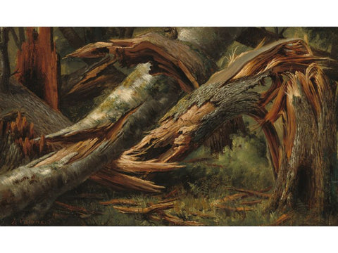 Forest Landscape Fallen Tree by Alexandre Calame