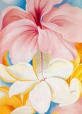 Hibiscus by Georgia O'Keeffe