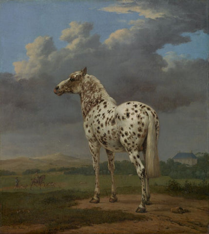 Horse The spotted stallion in a hilly landscape by Paulus Potter