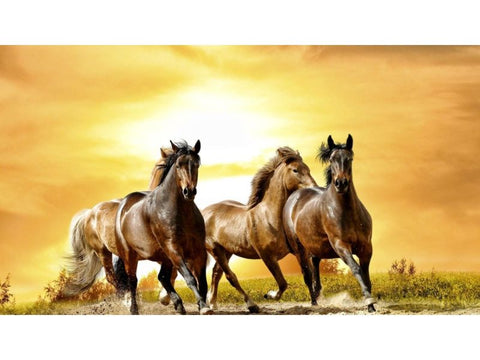 Horses Sunlight Running Painting