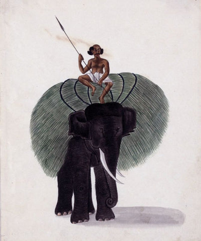 Indian Art An elephant carrying fodder