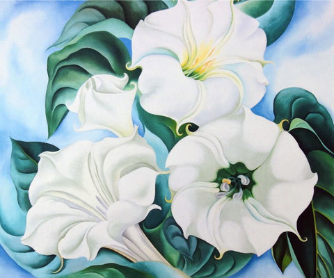 Jimson Weed by Georgia O'Keeffe