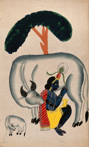 Indian Miniature - Krishna milking a cow while the calf looks