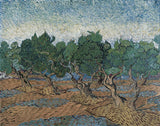 Olive grove by Vincent Van Gogh