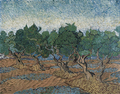 Olive grove by Vincent Van Gogh