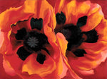 Oriental Poppies by Georgia O'Keeffe