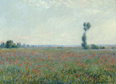 Poppy Field by Claude Monet