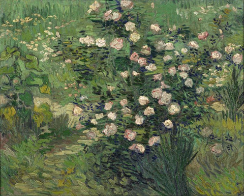 Rose by Vincent Van Gogh