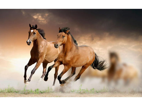 Running Horses Painting