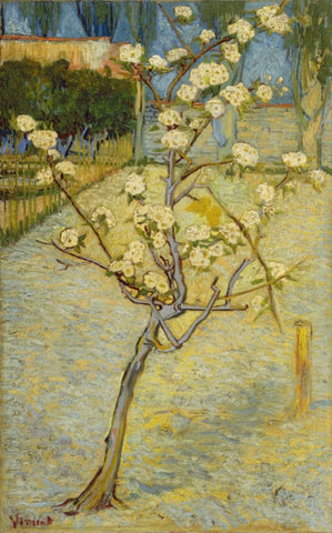 Small pear tree in blossom by Vincent Van Gogh