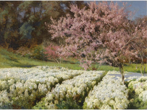 Spring Landscape Painting Spring blossom by Iosif Krachkovsky