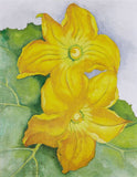 Squash Blossoms by Georgia O'Keeffe