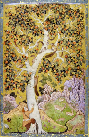 Squirrels in a Plane Tree by Abu al-Hasan