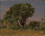 Study of Palm Trees by Jean Leon Gerome