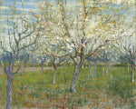 The Pink Orchard also Orchard with Blooming Apricot Trees by Vincent Van Gogh