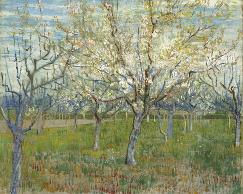 The Pink Orchard also Orchard with Blooming Apricot Trees by Vincent Van Gogh