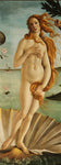 The Birth of Venus detail - Venus by Sandro Botticelli