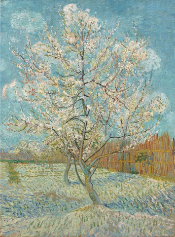 The Pink Peach Tree by Vincent Van Gogh