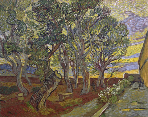 The garden of Saint Paul's Hospital by Vincent Van Gogh