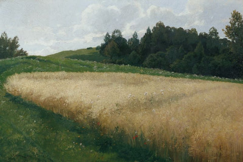 The oat field by Adolf Kaufmann