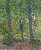 Trees by Vincent Van Gogh